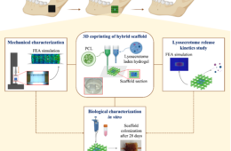 Design and assessment of a 3D bio-printed hybrid scaffold for bone tissue engineering