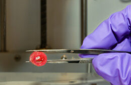 3D-bioprinted blood vessel